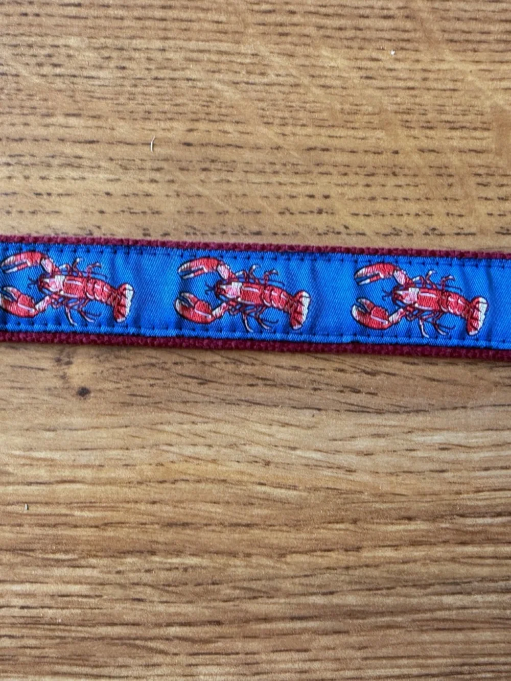 Children's Blue Ribbon Belt with Red Lobster Pattern